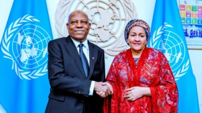 Nijerya Cumhurbaşkanı Yardımcısı Shettima, Afrika'nın BMGK'de eşit söz hakkı talebinin