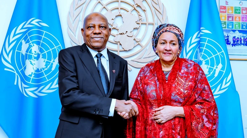 Nijerya Cumhurbaşkanı Yardımcısı Shettima, Afrika'nın BMGK'de eşit söz hakkı talebinin