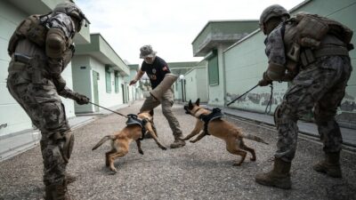 Özel harekat timlerinin operasyona katılan köpekleri, zorlu durumlarda gösterdikleri başarı