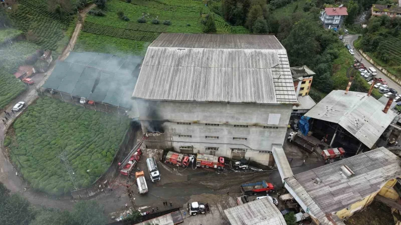 Rize'nin Çayeli ilçesinde bir çay fabrikasında çıkan yangın, can kaybı