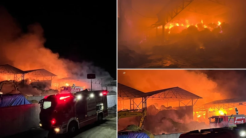 Samsun'un Bafra ilçesinde bir çiftlikte çıkan yangına itfaiye ve Orman