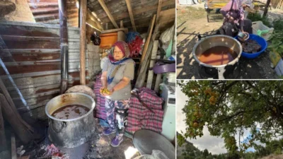 Toros Dağları'nın yüksek kesimlerinde yetişen taş erikler, geleneksel mutfağın vazgeçilmez