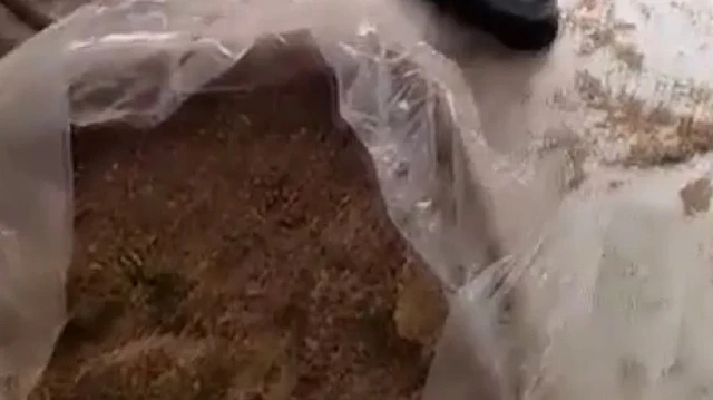 Aydın'da düzenlenen operasyonda, kaçak tütün ve makaronlara el konuldu. Üç