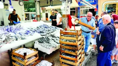 Denizlerdeki palamut bolluğu fiyatları düşürdü. Balıkçılara avı durdurma çağrısı yapılması