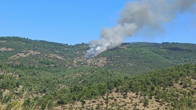 Bursa'da meydana gelen orman yangınına itfaiye ve Orman Bölge Müdürlüğü