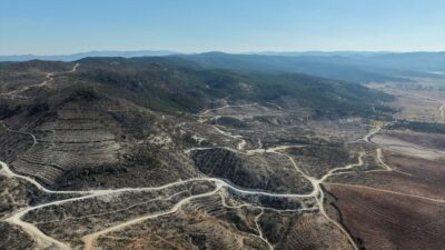 Eber Gölü ve Sarıcaova'daki yaban hayatın incelendiği projede, yangın sonrası