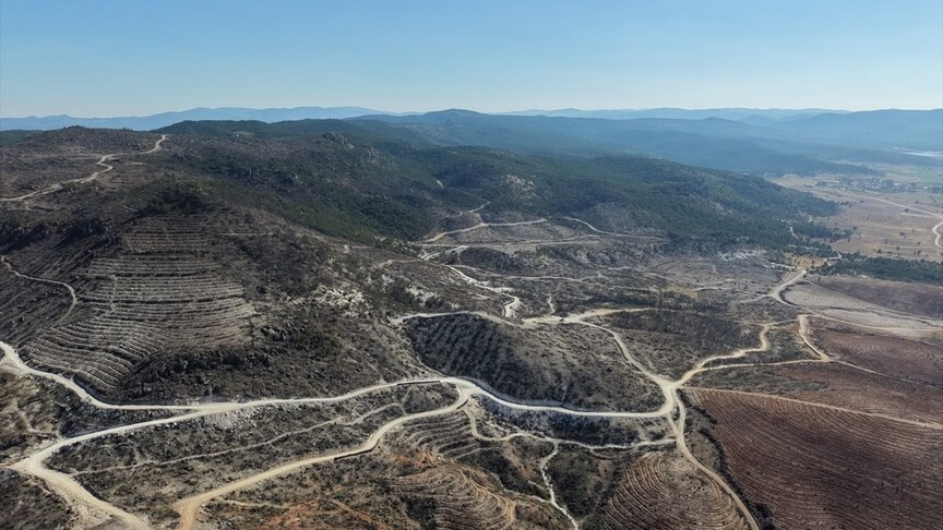 Eber Gölü ve Sarıcaova'daki yaban hayatın incelendiği projede, yangın sonrası