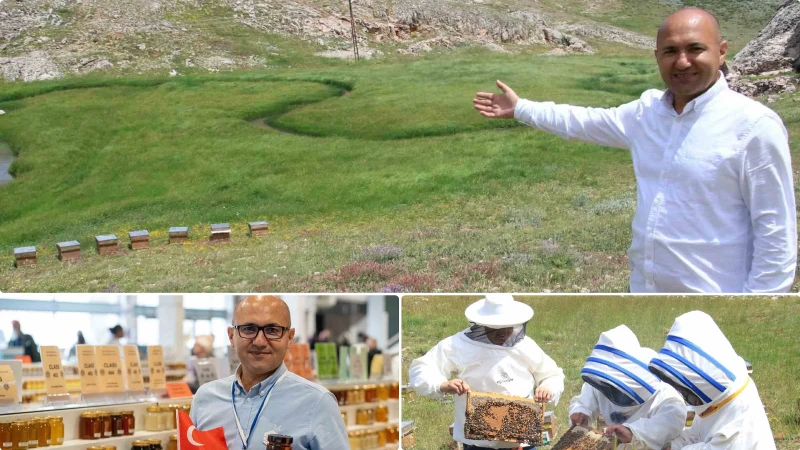 Mersin'in Eğriçayır Yaylası'nda üretilen bal, uluslararası yarışmada altın madalya kazanarak