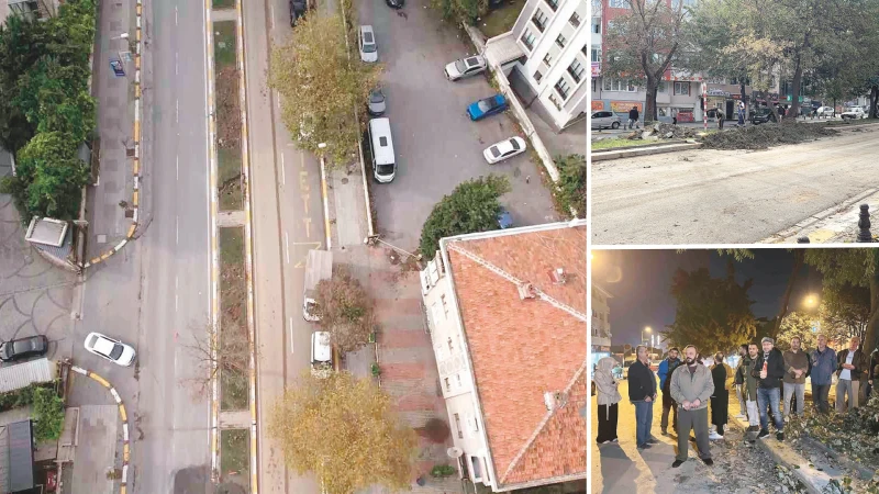 Eyüpsultan'da tramvay hattı çalışmaları nedeniyle kesilen ağaçlarla ilgili semt sakinleri,