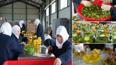 Bursa'nın Gürsu Ovası'nda kadınların emeğiyle üretilen az tuzlu turşular, iç