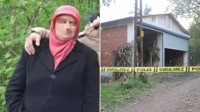 Ordu'da bir kadının akrabasını tabancayla vurarak öldürmesi sonrası olaylarla ilgili