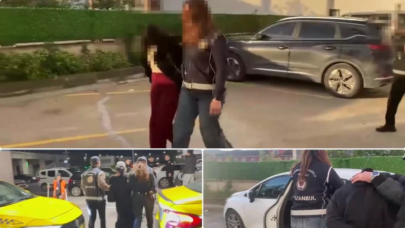 İstanbul'da yürütülen yasa dışı üreme hücresi ticareti soruşturmasında 14 ilde