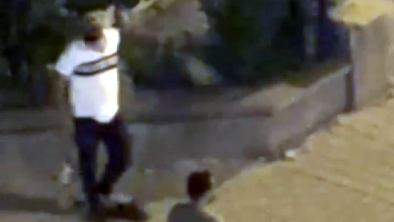 Kahramanmaraş'ta meydana gelen silahlı saldırıda iki kişi yaralandı. Saldırgan kardeşler