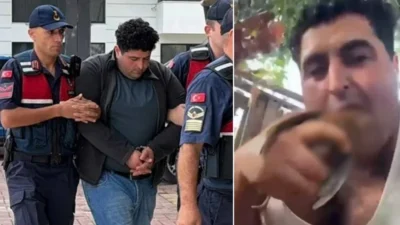 Alanya'da bir gencin kuşları vahşice öldürmesi sosyal medyada büyük tepki