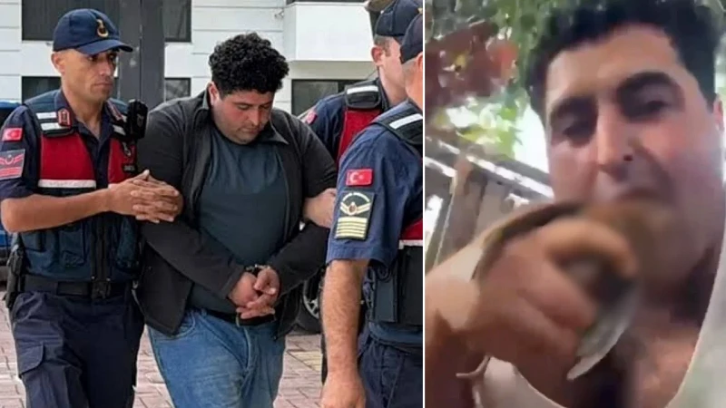 Alanya'da bir gencin kuşları vahşice öldürmesi sosyal medyada büyük tepki