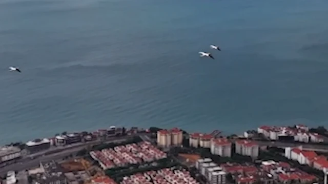 Tekirdağ'da leyleklerin göç yolculuğu, drone ile havadan görüntülendi. Renkli manzaralar