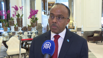 Somali Devlet Bakanı Omar, arabuluculuğun krizleri çözmedeki önemini vurgulayarak, uluslararası