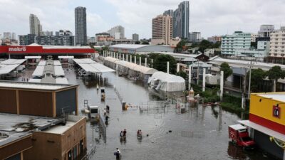 Tayland'da son bir ay içinde meydana gelen şiddetli yağışlar sonucu