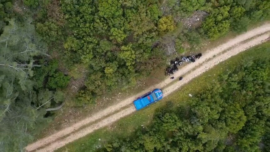 İçişleri Bakanlığı, 33 ilde düzenlenen operasyonlarla 51 şüpheliyi yakaladı. 2,822
