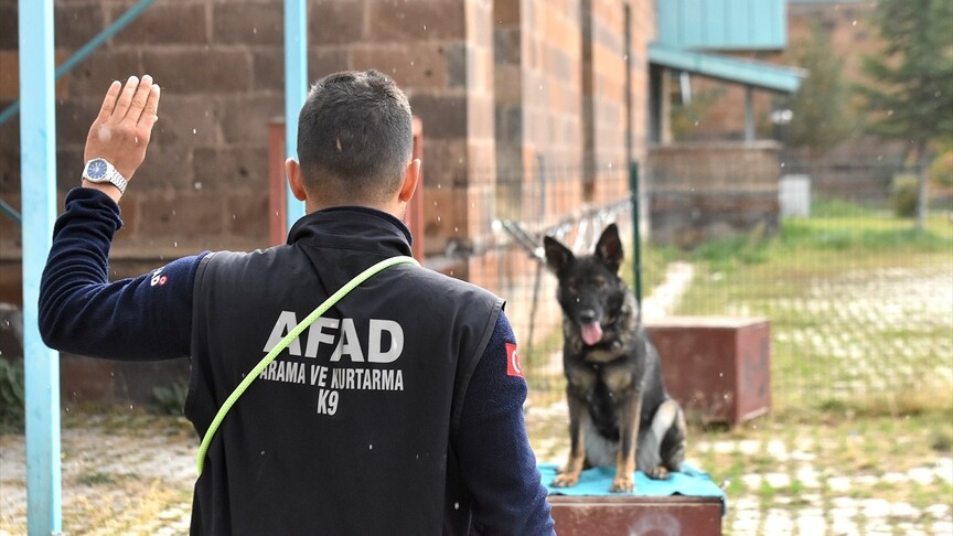 Van'da arama kurtarma köpekleri, afetlere hazırlık için eğitim alarak hayat
